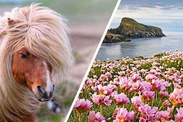 Großbritannien & Norwegen